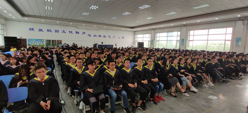 201906251561436117473564.jpg 6_副本.jpg